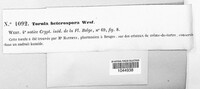 Image Associated With the Occurence